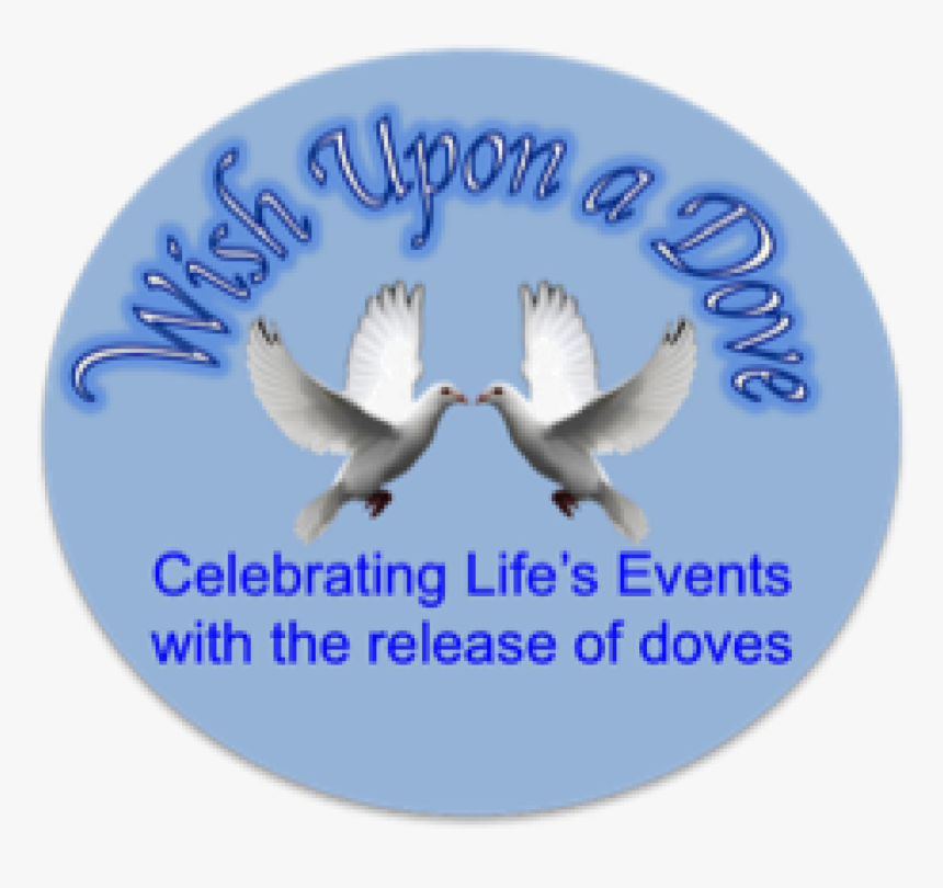 Wish Upon A Dove - Seabird, HD Png Download