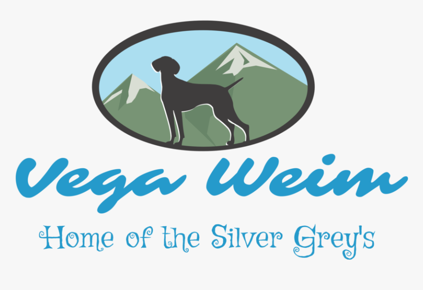 Hunting Dog, HD Png Download