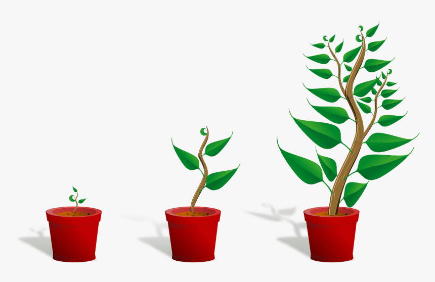 In Short, They Simply Don T Want To Entertain The Possibility - Getting To Know Plants, HD Png Download