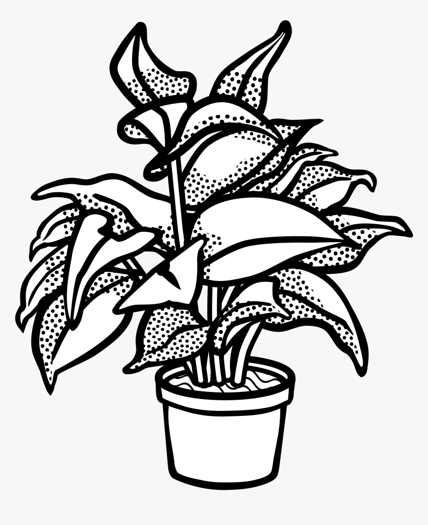 Drawing Black And White - Clip Art Black And White Plant, HD Png Download
