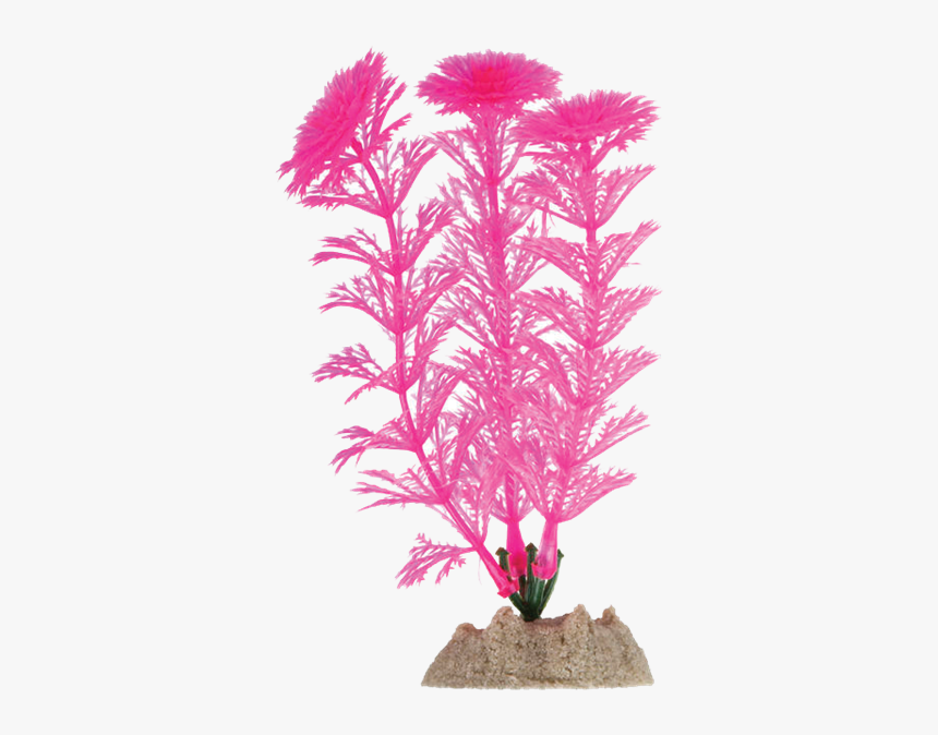 Tetra Glofish Aquarium Plant - Underwater Aquarium Plants Png, Transparent Png