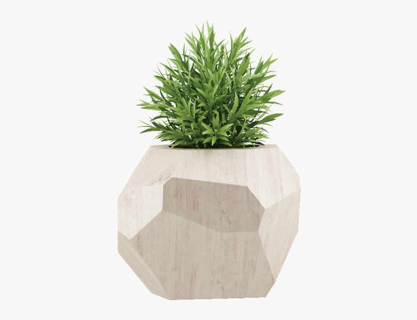 Houseplant, HD Png Download