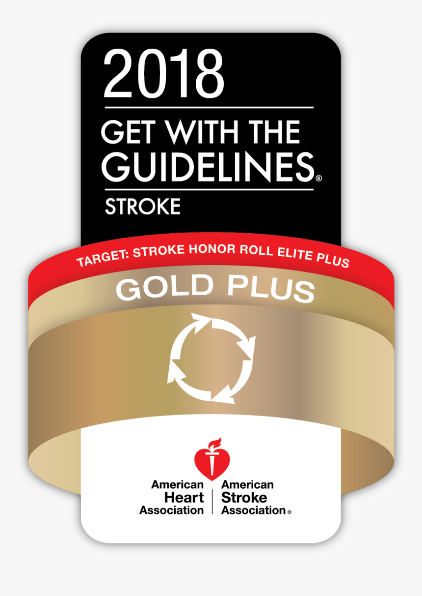 2018 Get With The Guidelines Gold Plus Target Stroke, HD Png Download