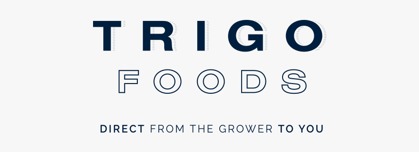 Trigo Square Simple - Electric Blue, HD Png Download