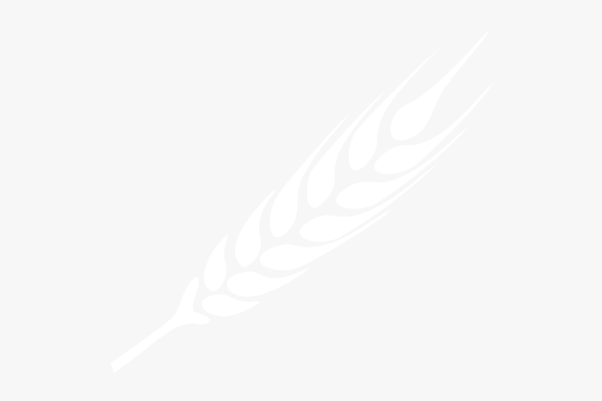 Ramo De Trigo Png Branco, Transparent Png