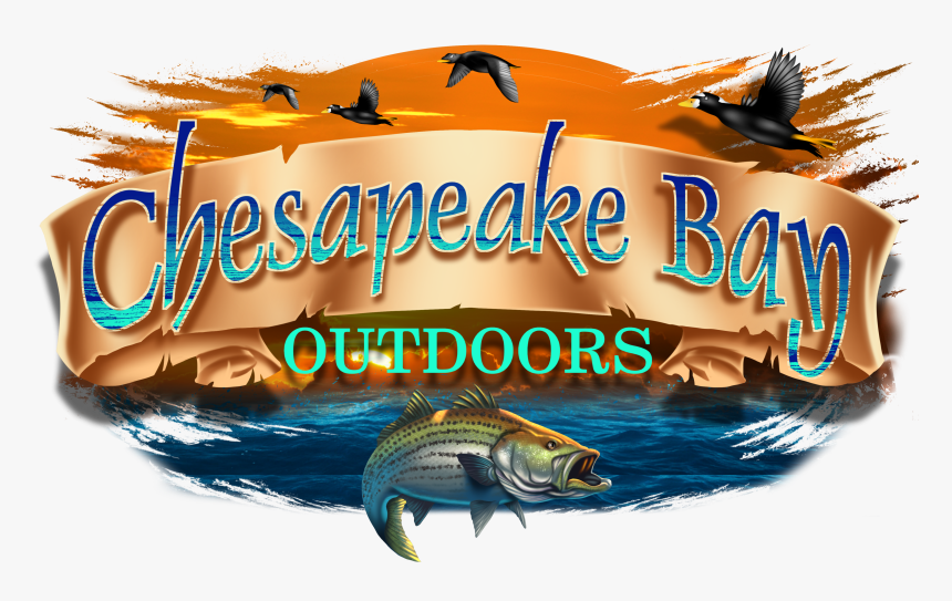 Chesapeake Bay Charter Fishing And Sea Duck Hunting - Pull Fish Out Of Water, HD Png Download
