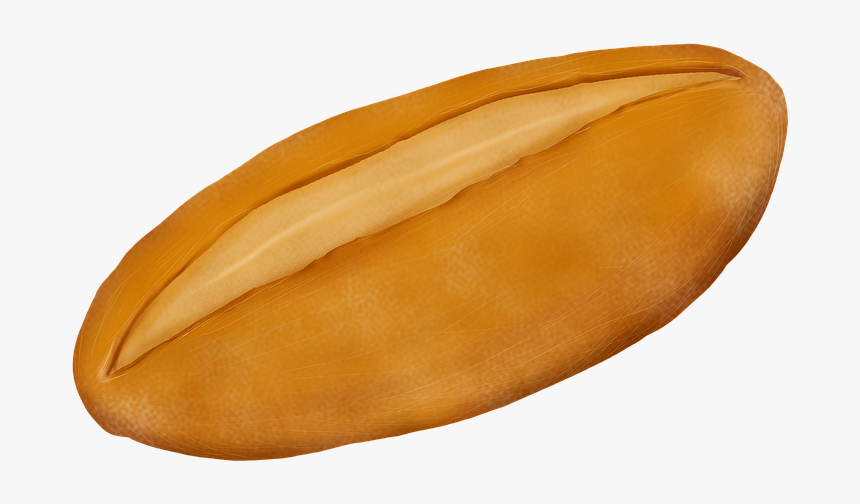 Bread, French Toast, Baking, Bakery, Foodstuff, Eat - Mango, HD Png Download