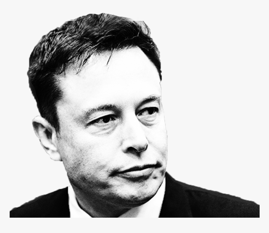 Elon Daddy T Shirt, HD Png Download