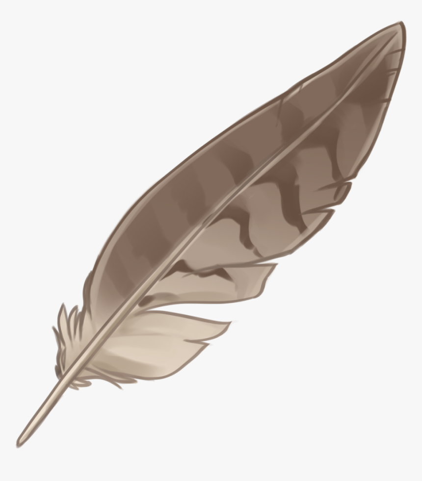 Eagle Feather Law Portable Network Graphics Native - Native American Feathers With Transparent Background, HD Png Download