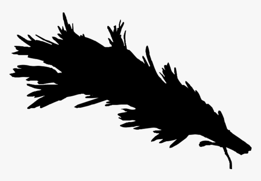 Bald Eagle Beak Font Silhouette Feather, HD Png Download