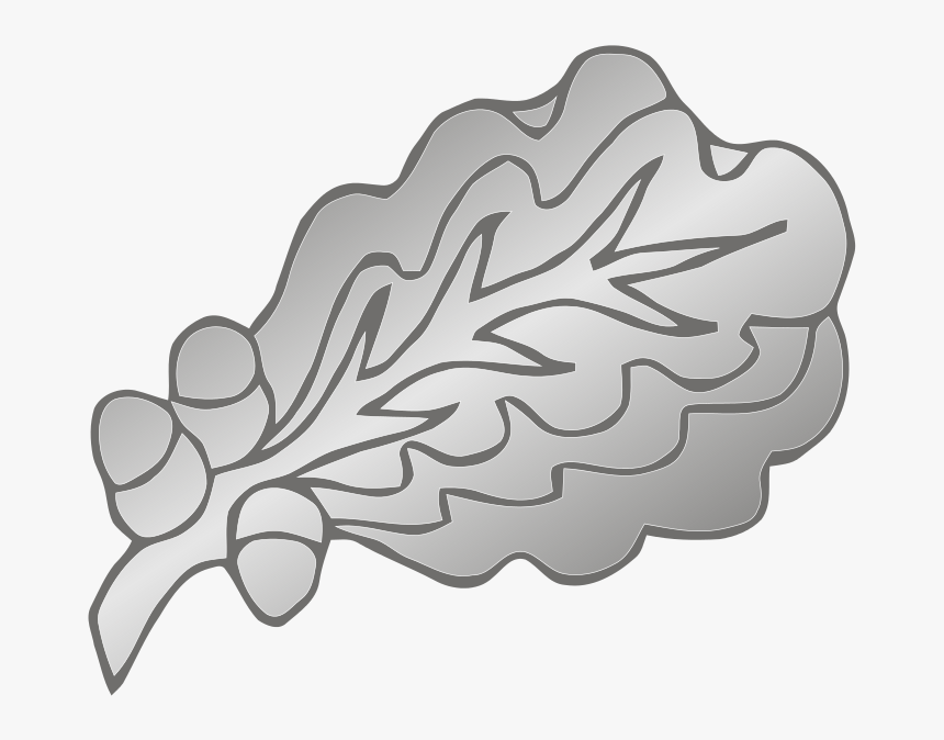 Transparent Free Clipart Oak Leaf - Military Bronze Oak Leaf Cluster Transparent, HD Png Download