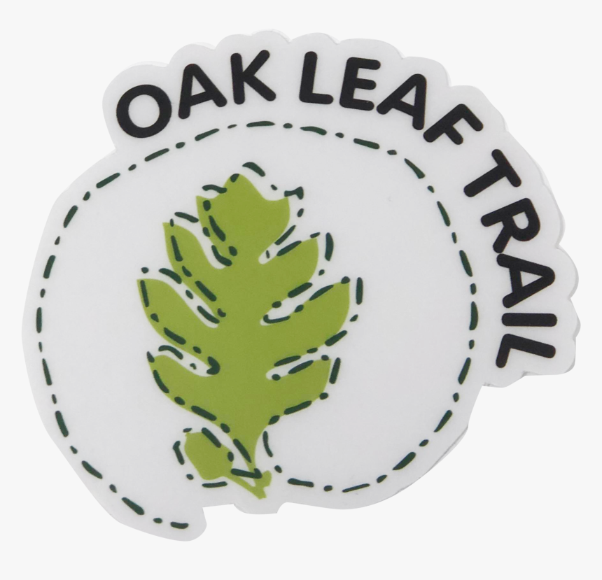 Transparent Oak Leaf Png - Pine, Png Download