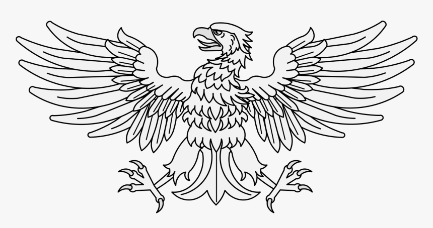 Transparent Eagle Feather Png - Bald Eagle, Png Download