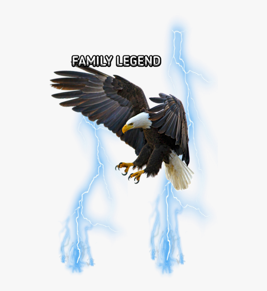 #freetoedit#eemput #png #eagle #lightning #blue - Flying Eagle Drawing Colored, Transparent Png