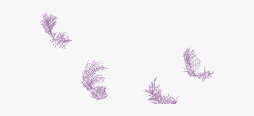 Sea Slug, HD Png Download