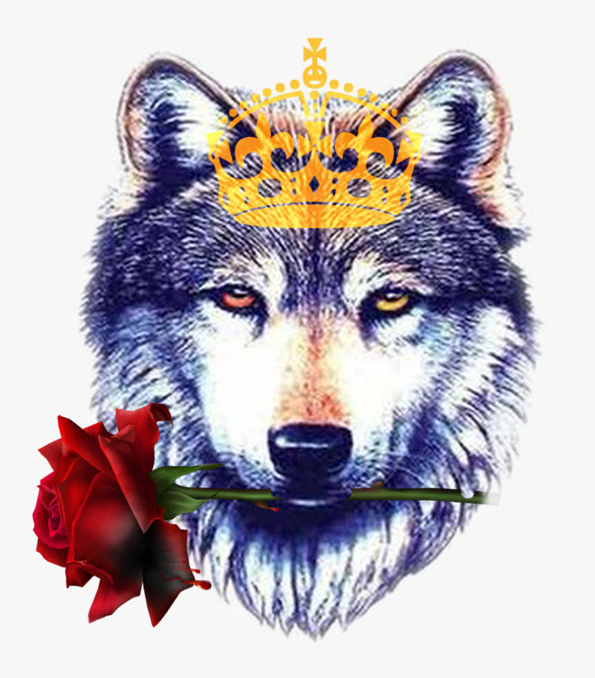Wolf Paw Png, Transparent Png
