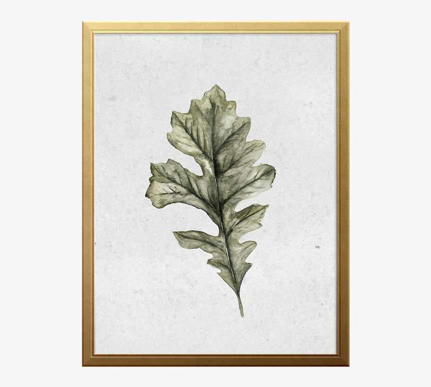 Oak Leaf Art Print - Gambel Oak, HD Png Download