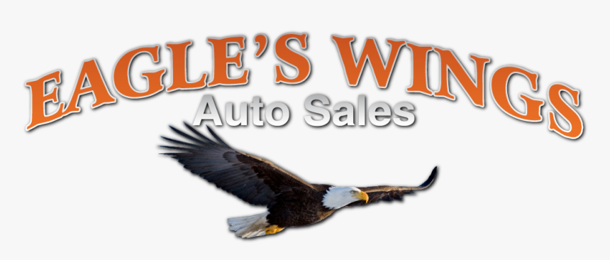 Bald Eagle, HD Png Download