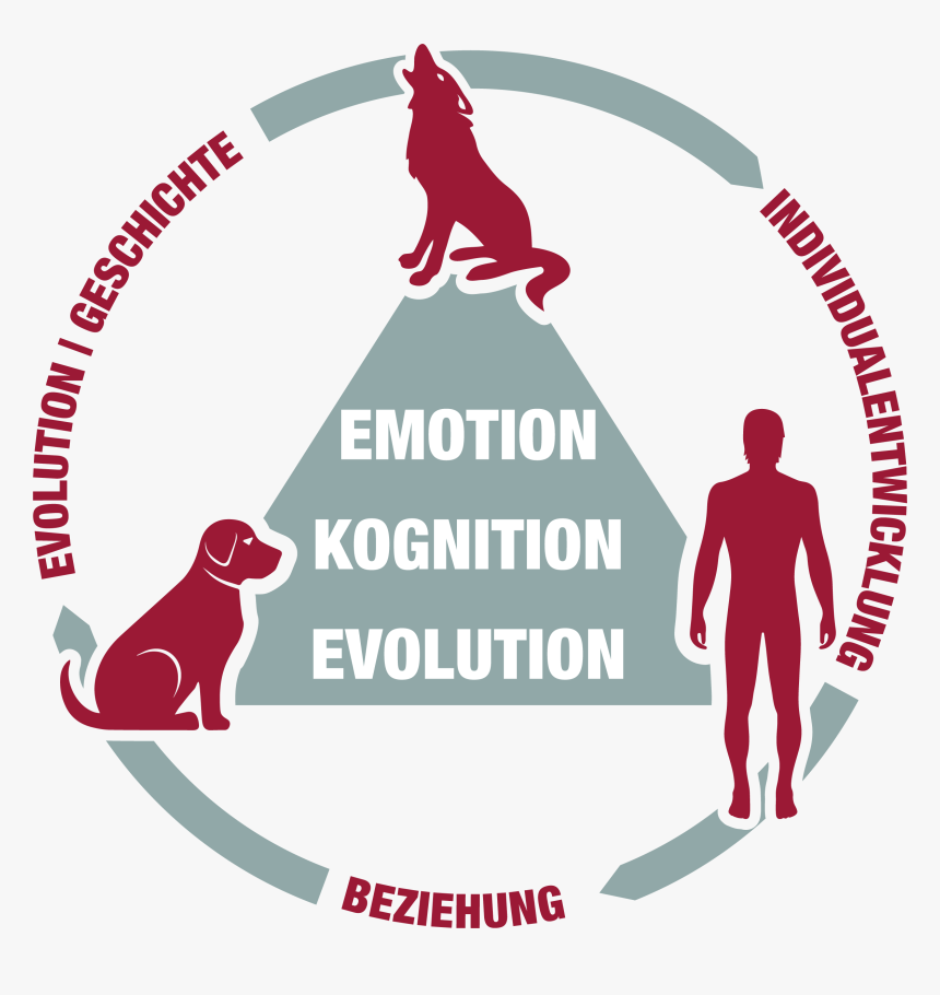 Forschung Am Wsc - Lekkerkerker, HD Png Download