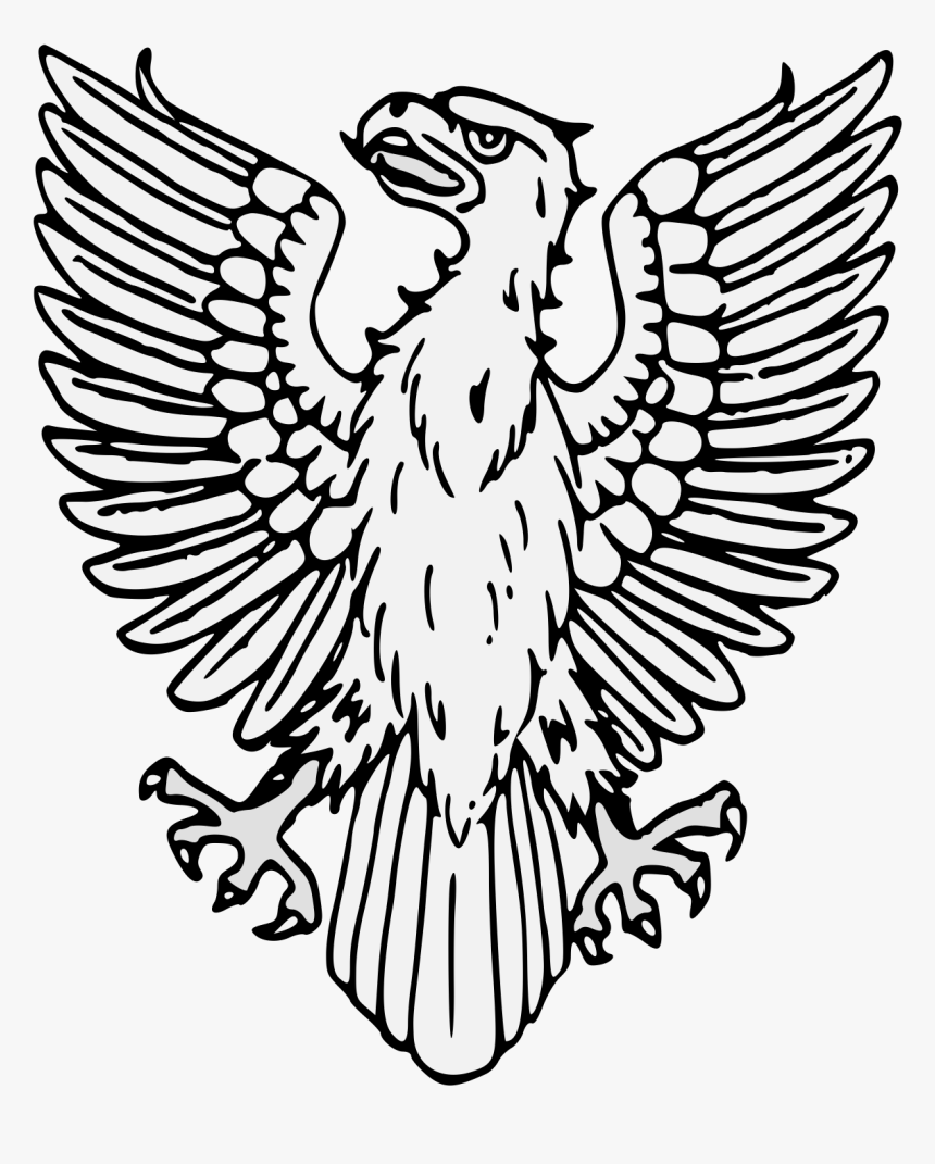 Parrot, HD Png Download