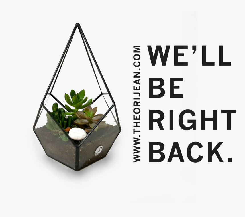 Wrong Way Go Back Sign, HD Png Download