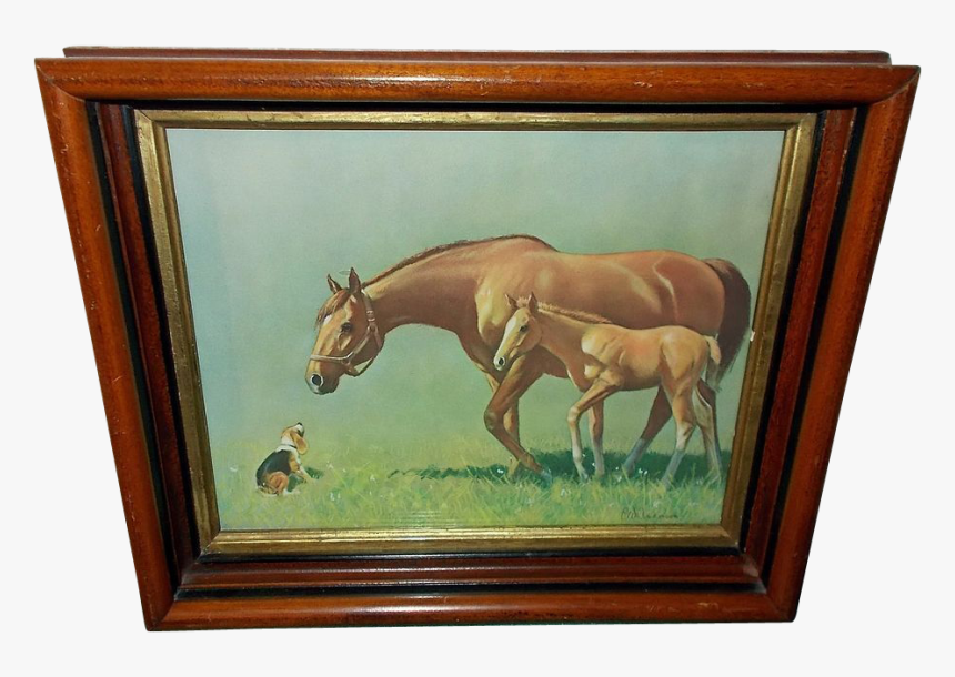 Stallion, HD Png Download