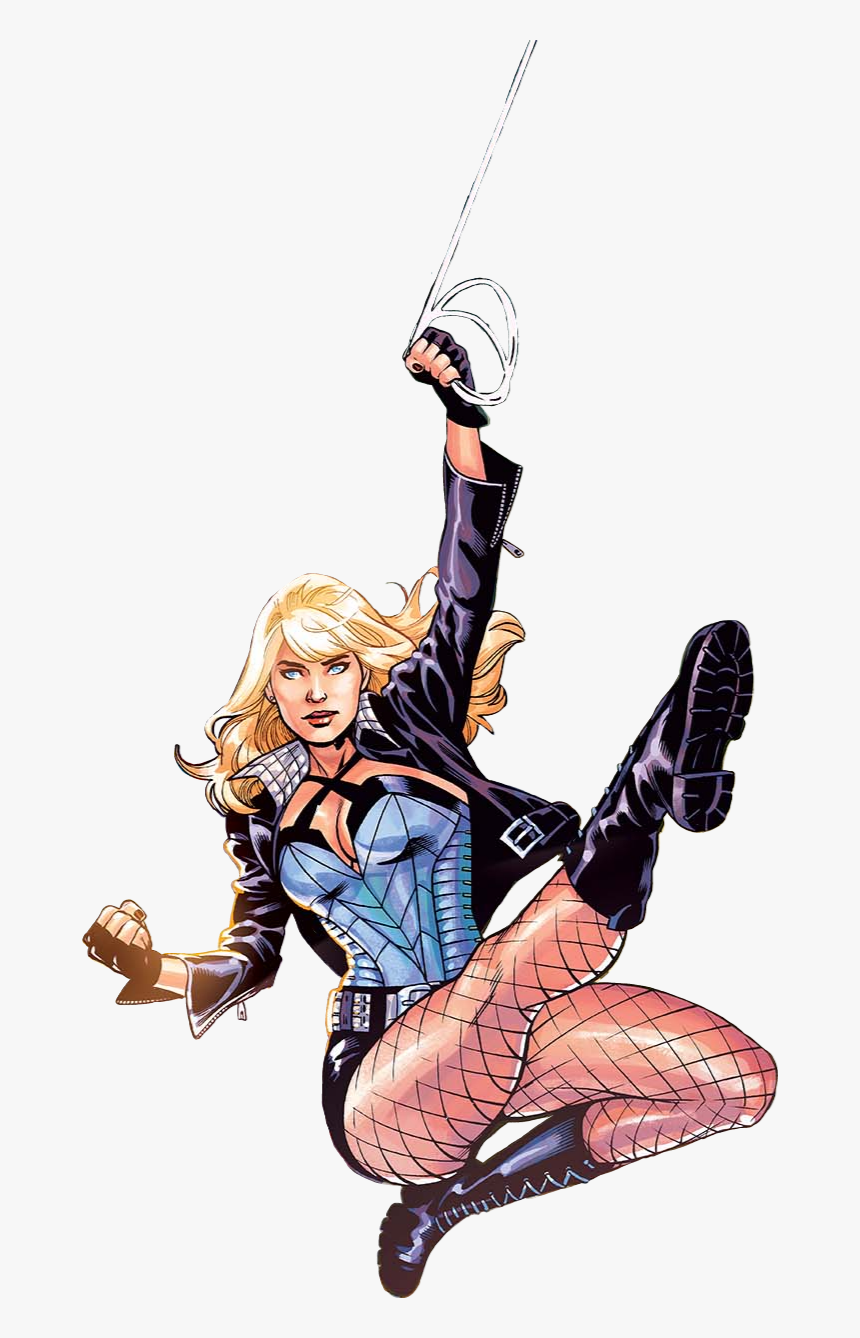 Black Canary By Emma Lupacchino - Birds Of Prey Comic Harley Quinn, HD Png Download