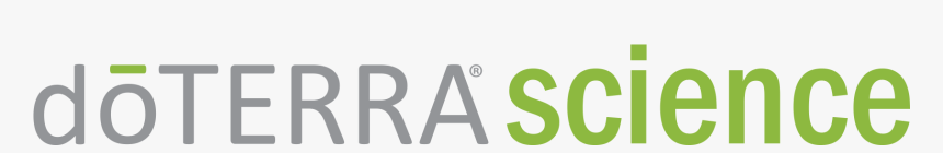 Parallel, HD Png Download