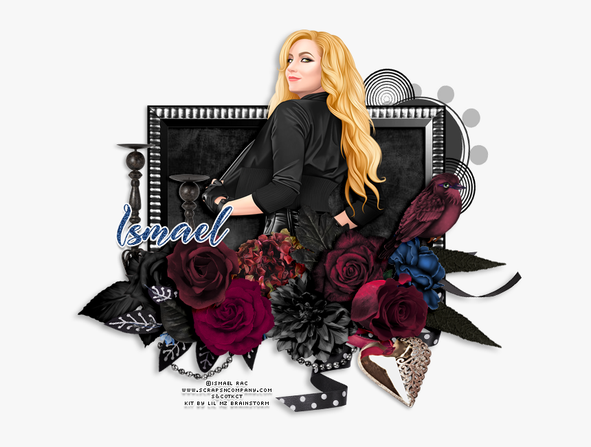 Transparent Black Canary Png - Garden Roses, Png Download