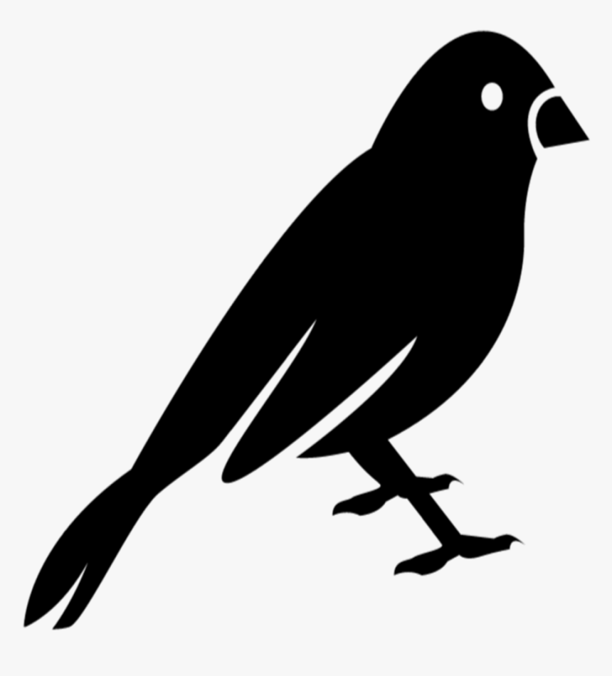 Black Canary Png, Transparent Png