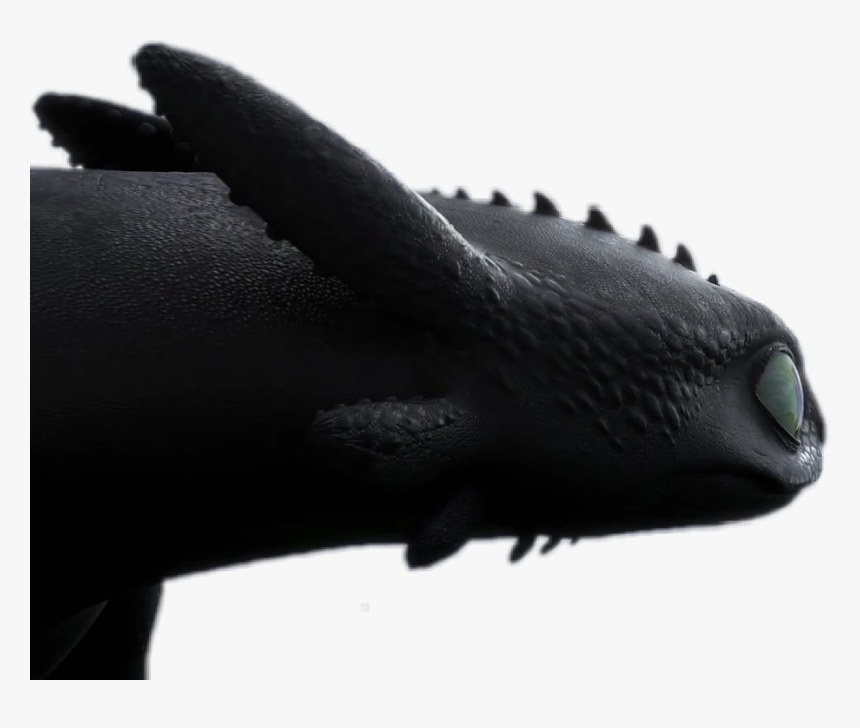 #toothless #nightfury #httyd #httyd3 #hiddenworld #jws - Toothless Httyd 3 Png, Transparent Png