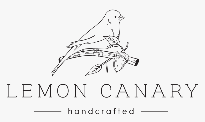 Drawing Lemon Vintage - Line Art, HD Png Download