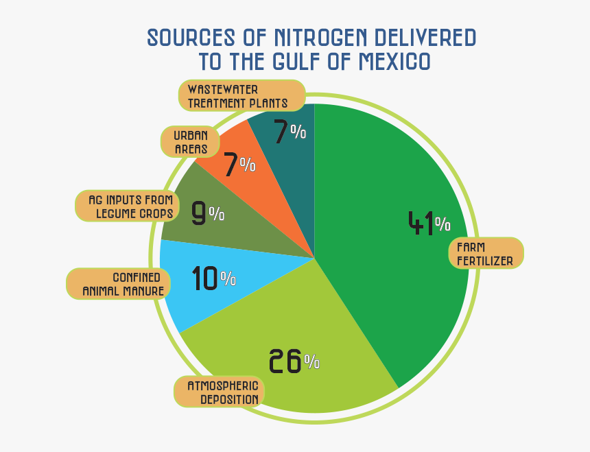 Nutrient Pollution Gulf Of Mexico, HD Png Download