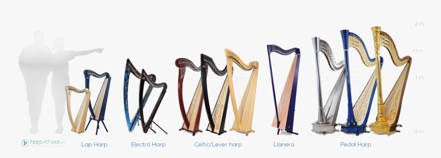 Harp Png Free Download - Different Type De Harpe, Transparent Png