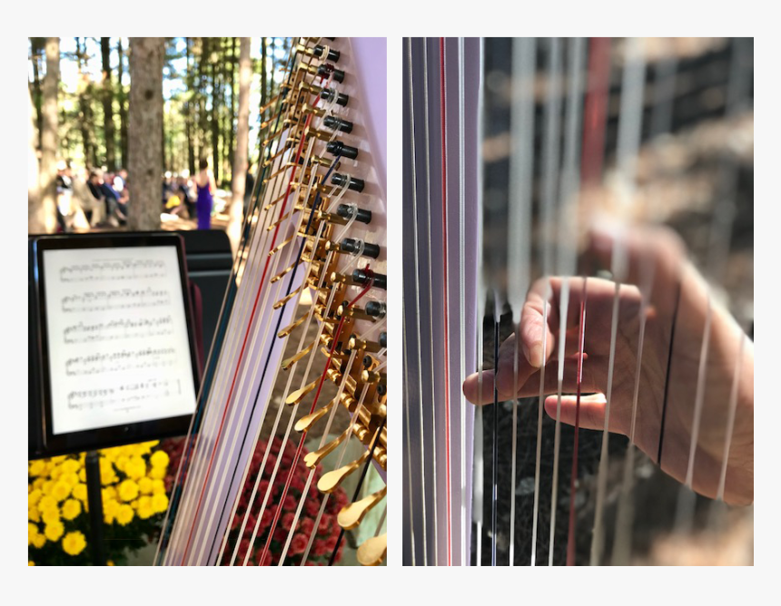 Harpist For Weddings, Events, Or Any Occasion - Art, HD Png Download