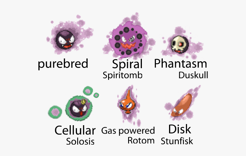 Gastly Variations Also Known As Fused Ghost Babies - Invertebrate, HD Png Download