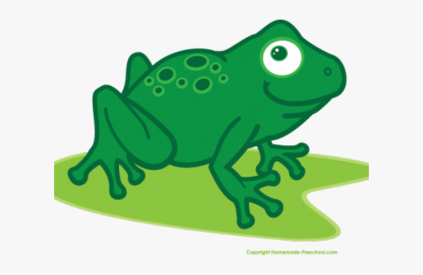 Transparent Frog Clipart - Clip Art, HD Png Download