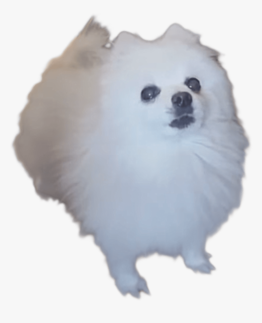 Gabe The Dog Sans, HD Png Download