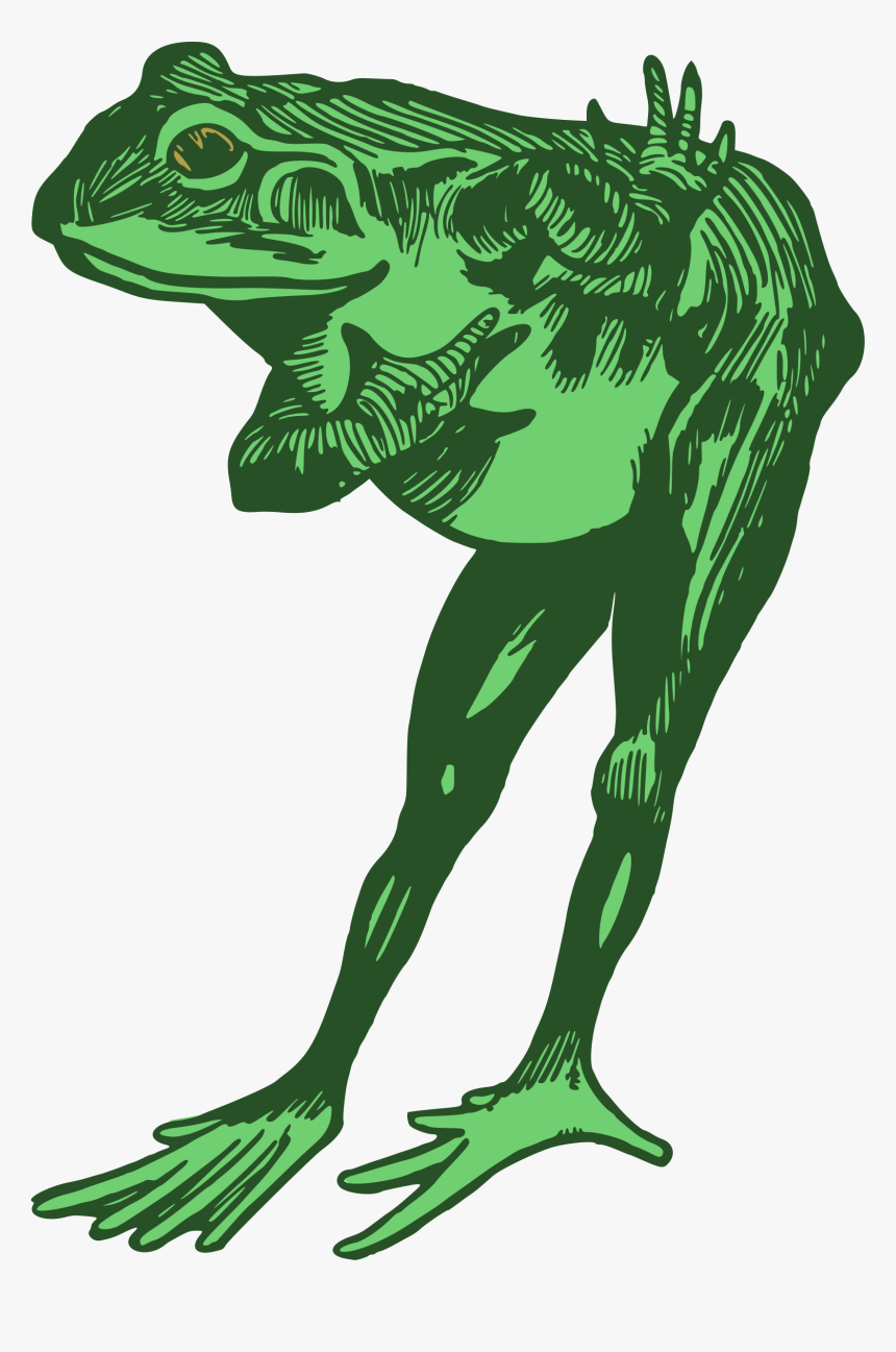 Green Frog Clipart Bull Frog - Frog Bowing Clipart, HD Png Download