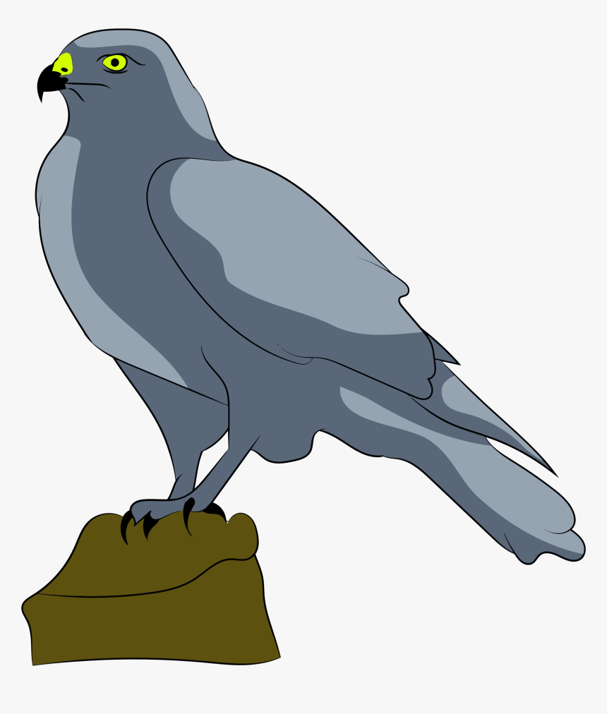 Perched Falcon Clip Arts - Falcon Clipart Gif, HD Png Download