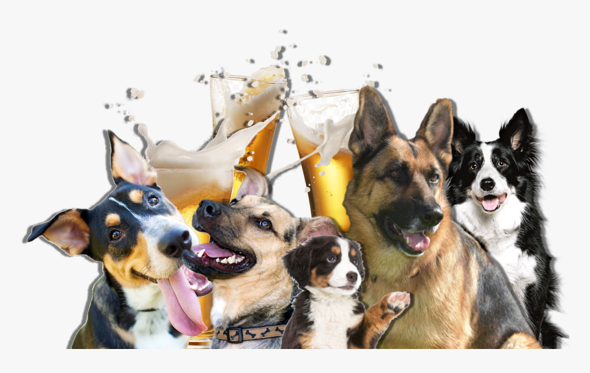 Companion Dog, HD Png Download