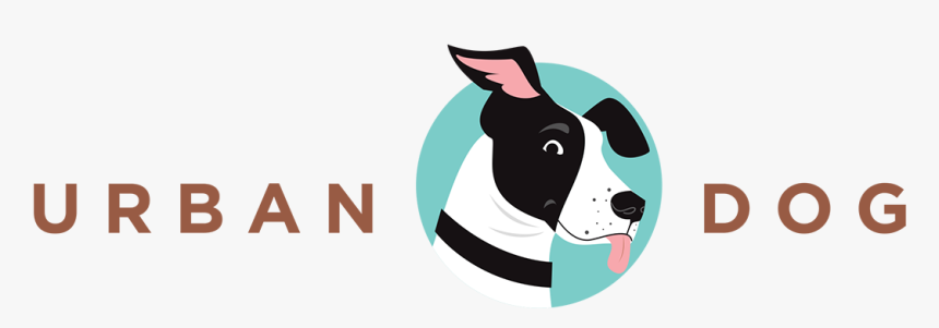 Dog Catches Something, HD Png Download