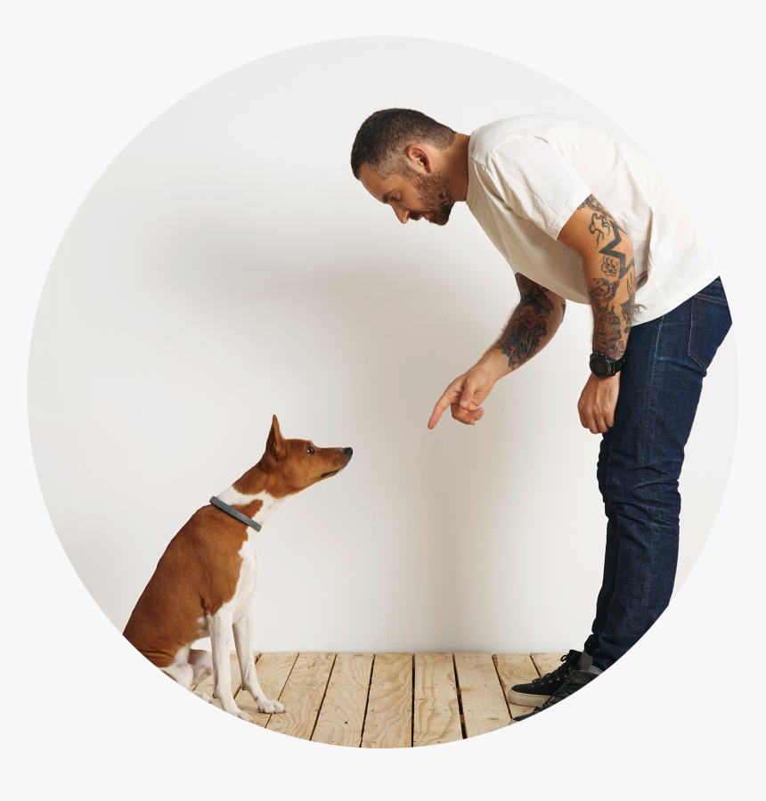 Image Icon - Bull Terrier, HD Png Download
