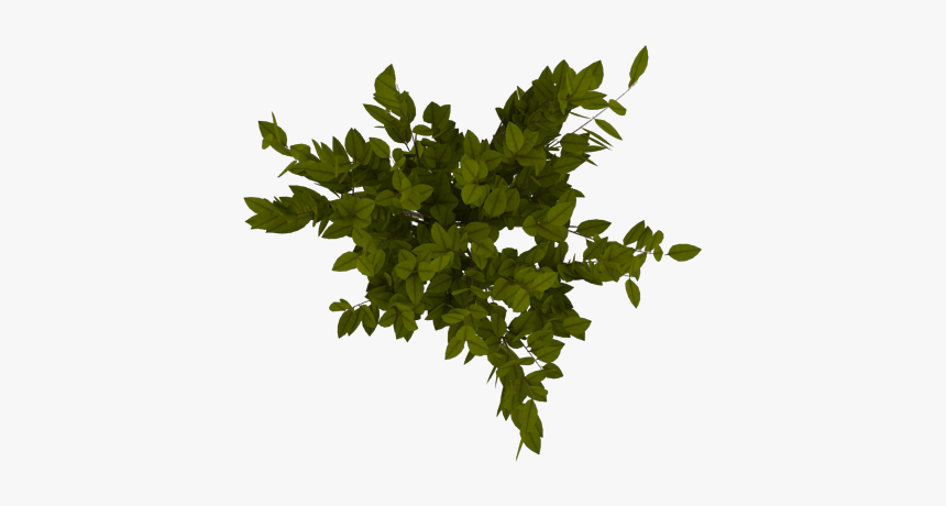 Arbol Desde Arriba Png, Transparent Png