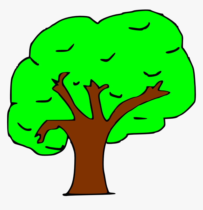 Arbol - Arbol Clipart, HD Png Download