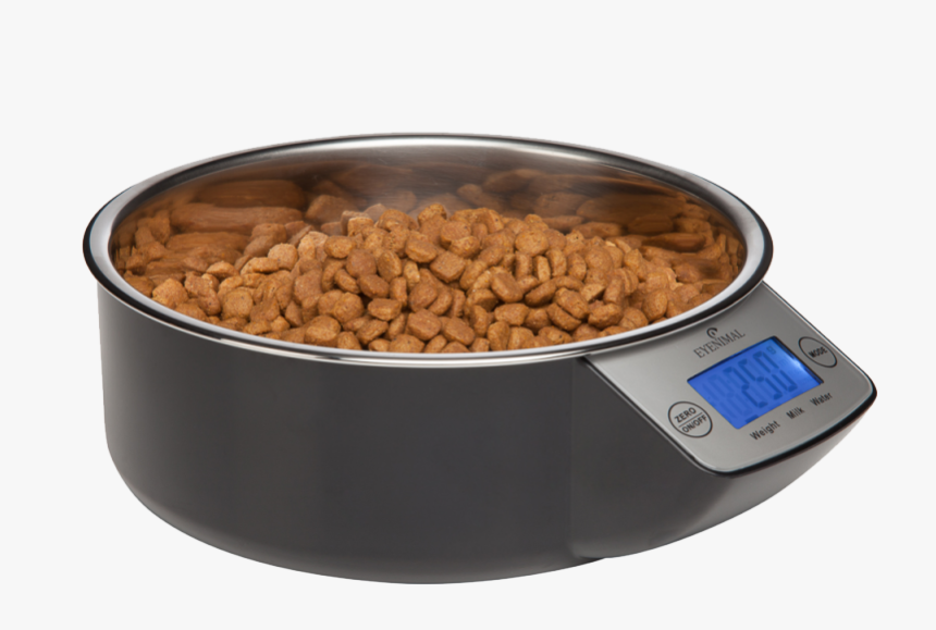 Cat Food Bowl Png - Dog, Transparent Png