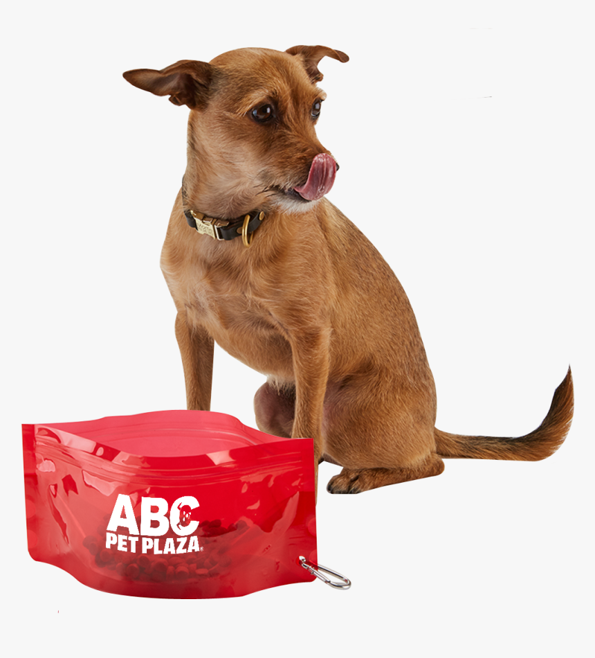 3249 Fold-it™ Pet Bowl - Dog Catches Something, HD Png Download