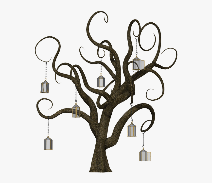 Arbol Cuentos - ต้นไม้ ที่ ไม่มี ใบ, HD Png Download