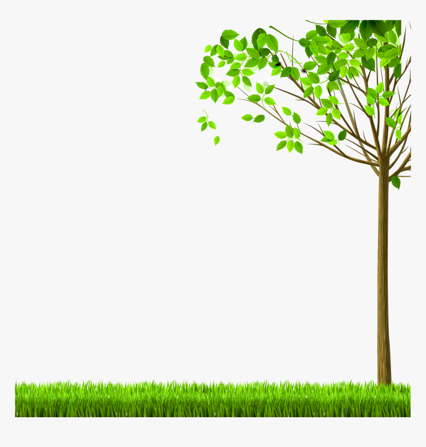 Transparent Arbol Clipart - Nature Png, Png Download