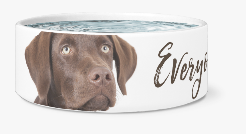 Transparent Chocolate Lab Png - Weimaraner, Png Download